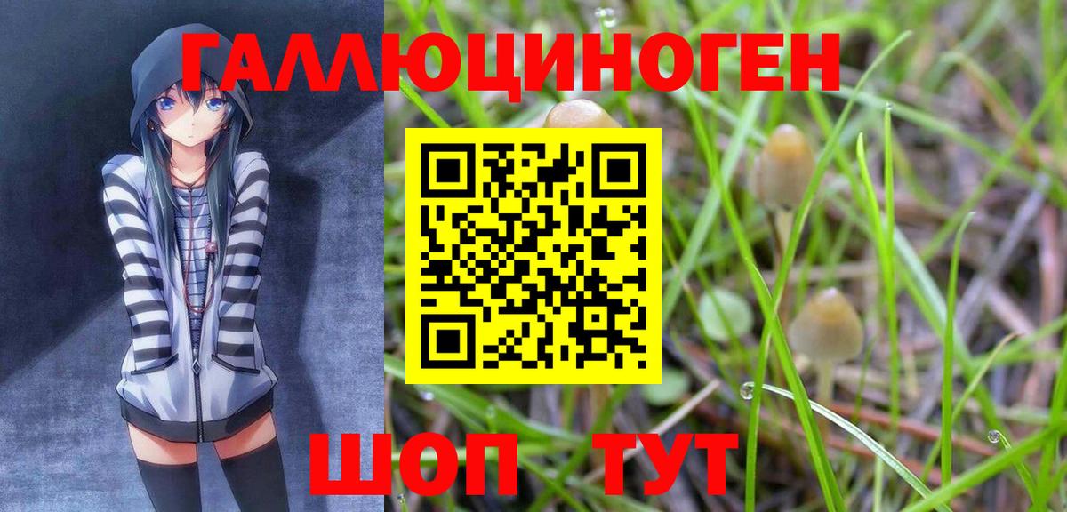 Таганрог  Галлюциногенные грибы MAGIC MUSHROOMS  Вход с VPN 