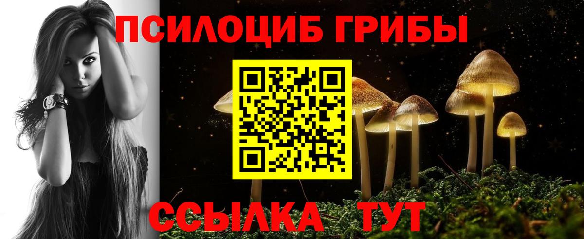 Псилоцибиновые грибы Cubensis Таганрог